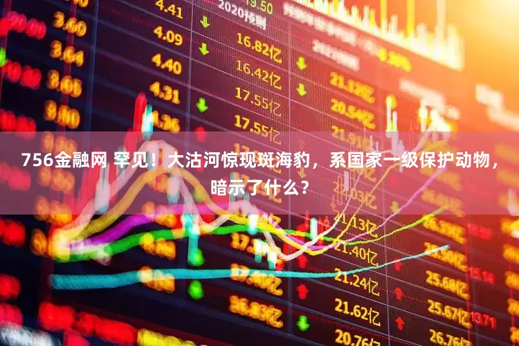 756金融网 罕见！大沽河惊现斑海豹，系国家一级保护动物，暗示了什么？
