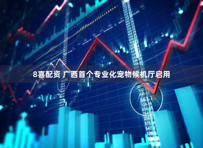 8喜配资 广西首个专业化宠物候机厅启用