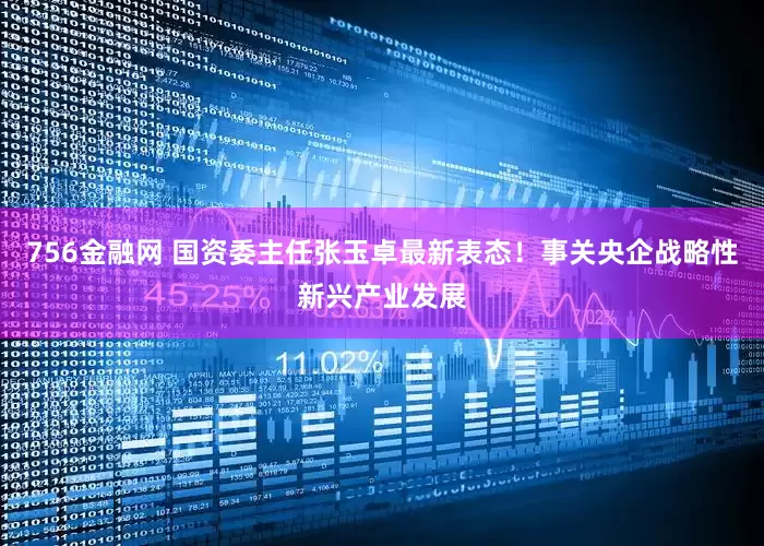 756金融网 国资委主任张玉卓最新表态！事关央企战略性新兴产业发展