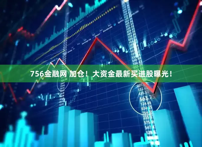 756金融网 加仓！大资金最新买进股曝光！